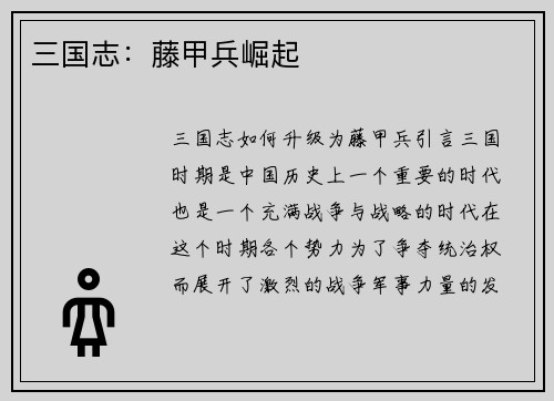 三国志：藤甲兵崛起